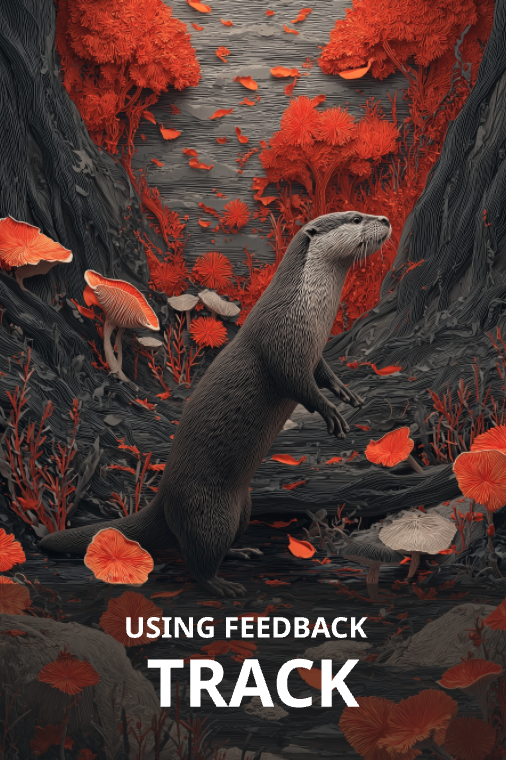 Using Feedback card — Track — The Feedback Deck
